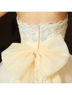 Organza Strapless Floor Length Ball Gown Wedding Dress with Beading