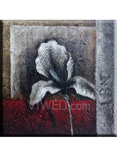 Pintados à mão pintura a óleo da flor com quadro esticado-20 " x 20"
