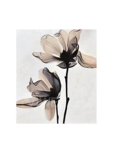 Blomma handmålad oljemålning med sträckt ram-20 " x 24 "