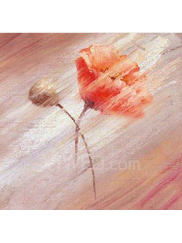 Pittura di fiori dipinti a mano olio con telaio allungato-20 " x 20 "