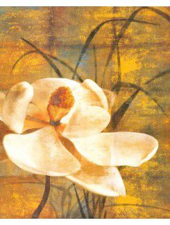 Печатные цветок холсте с растянутыми кадра
