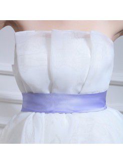 Organza Strapless Floor Length Ball Gown Wedding Dress