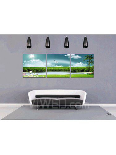 Printed Landscape Canvas Art with Stretched Frame-set of 3