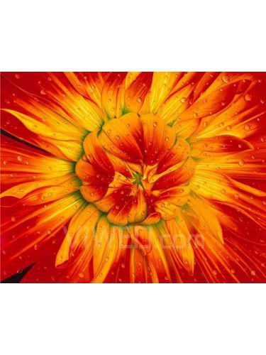 Printed Flower Canvas Art with Stretched Frame