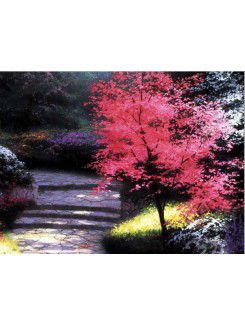 Printed Landscape Canvas Art with Stretched Frame