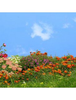 Fiore di arte tela stampata con telaio allungato