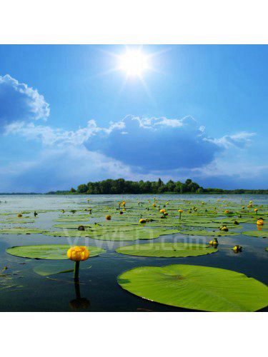 Blume gedruckt leinwandbilder mit gestreckten rahmen