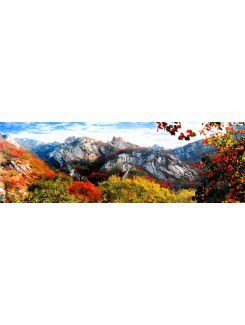 Printed Landscape Canvas Art with Stretched Frame